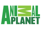 Телепрограмма Animal Planet